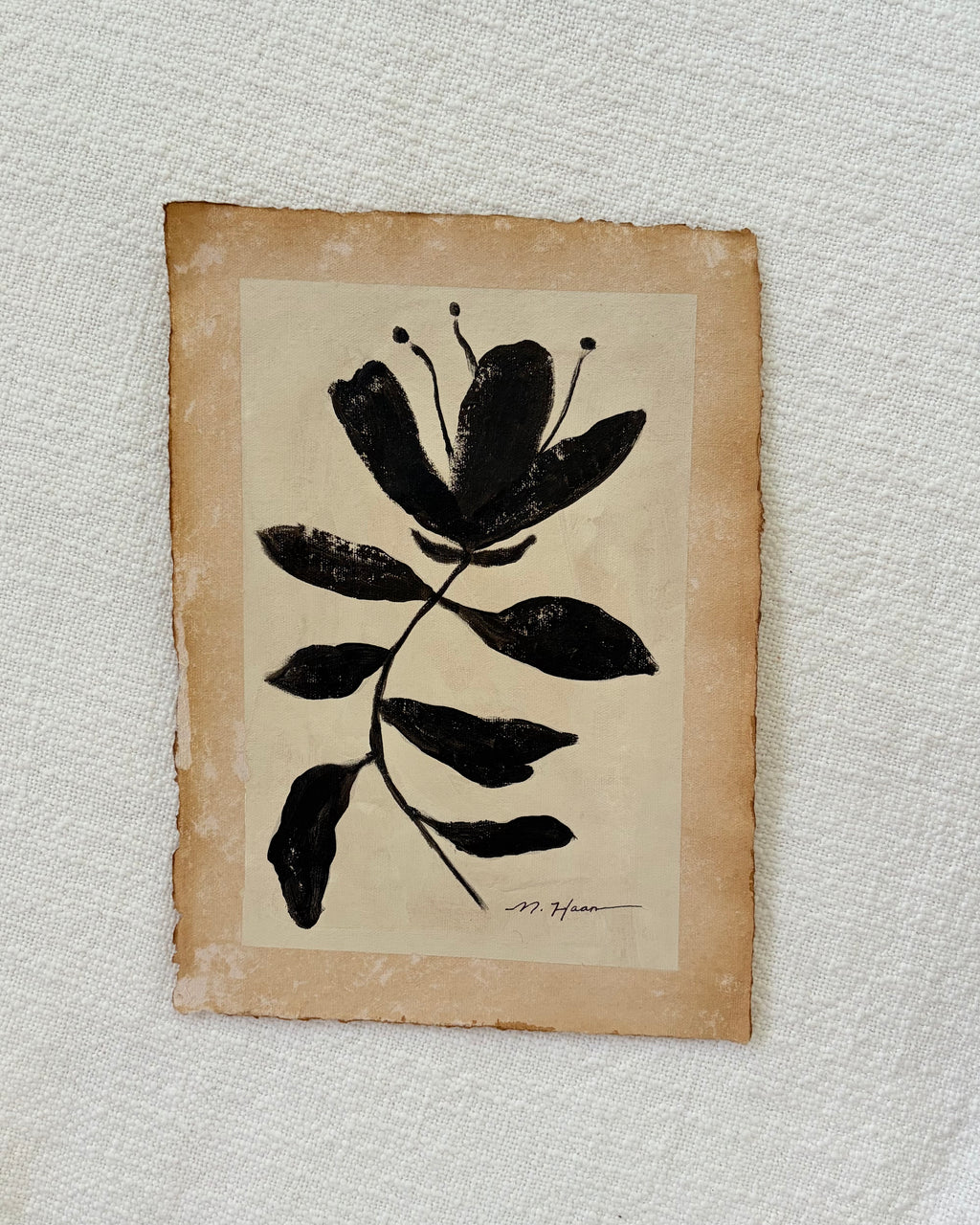 Floral Study II