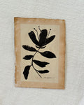 Floral Study II