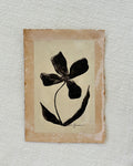 Floral Study I