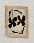 Floral Study VI