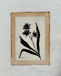 Floral Study V