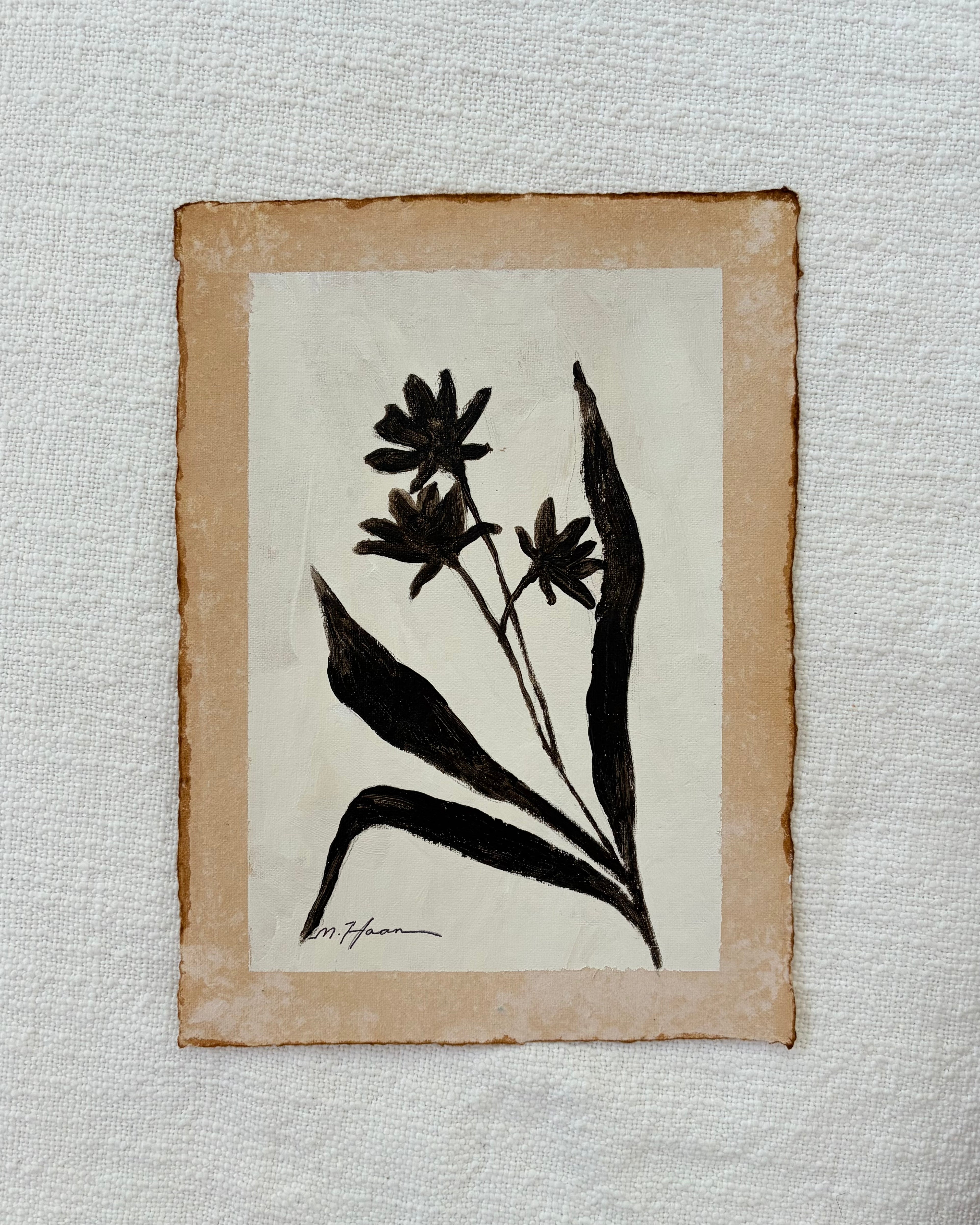 Floral Study V