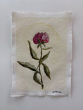 A Single Peony