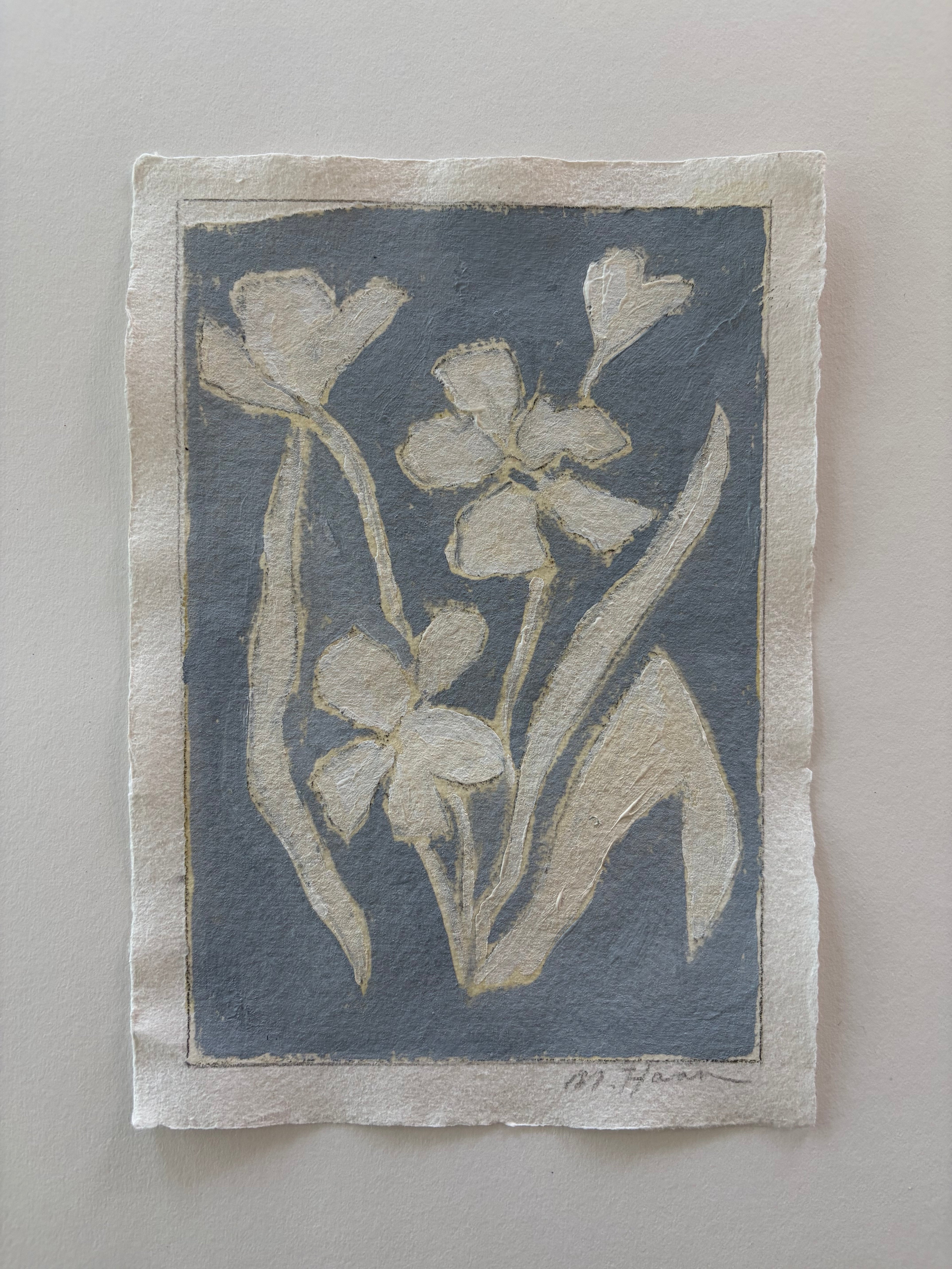 White Irises