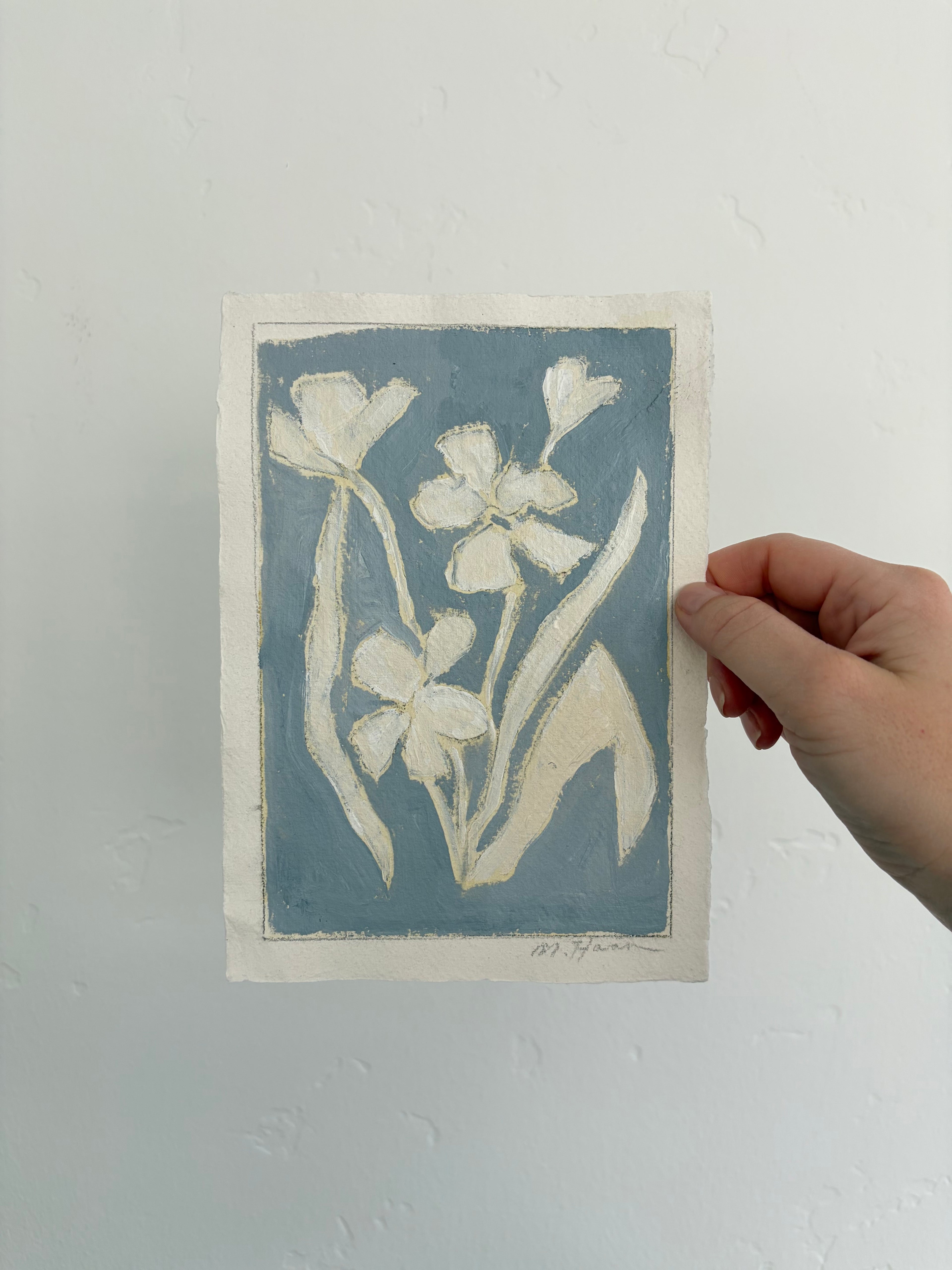 White Irises