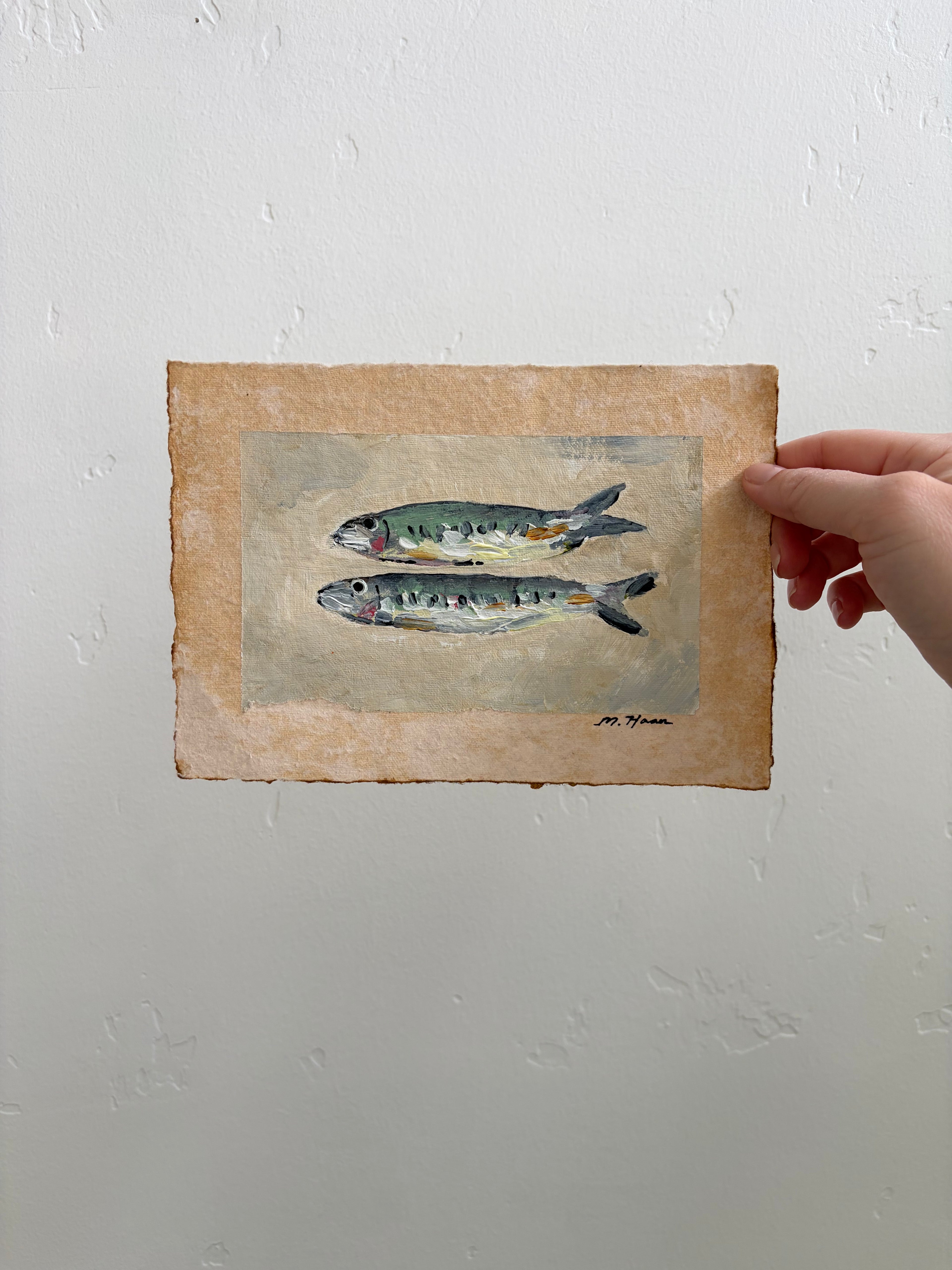 Morning Catch