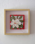 Magnolia III